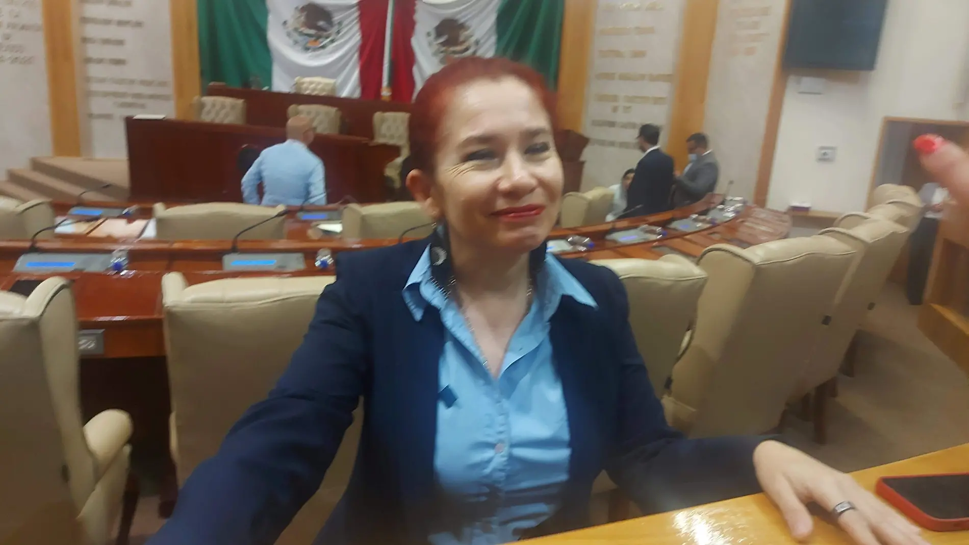 Diputada Laura Rangel